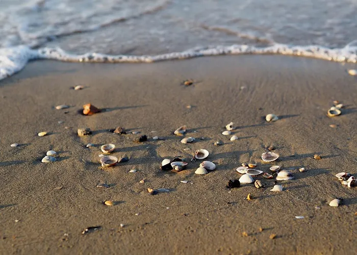 Апартаменты Beautiful In A Seafront Building *