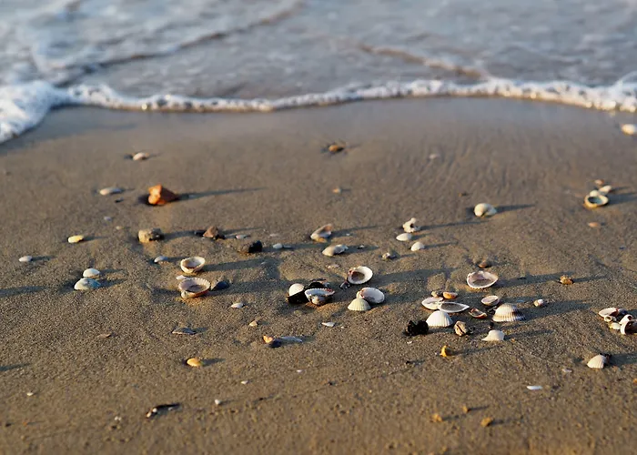 Beautiful In A Seafront Building * Бибионе